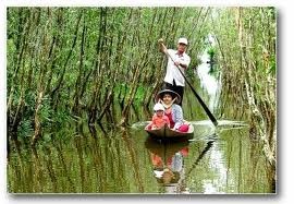 ផ្ទះប្រក់ស្លឹកនៅ ព្រៃ U Minh  ខេត្ត Ca Mau -វៀតណាម។ - ảnh 2